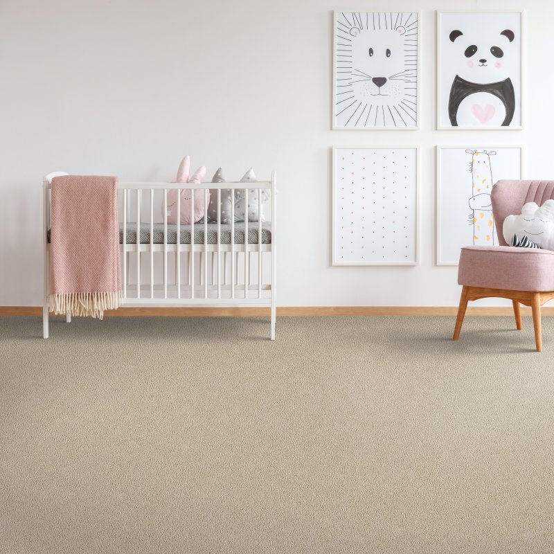 Grove's Flooring providing stain-resistant pet proof carpet in Elizabethtown, PA - Sp Enchanting Glam - Cayman Island